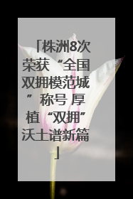 株洲8次荣获“全国双拥模范城”称号 厚植“双拥”沃土谱新篇